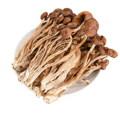 干茶树菇不开伞特产干货