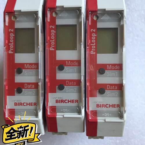262596/D 保策利回路传感器 瑞士BIRCHER 工控传感器