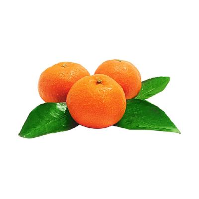 新鲜台州临海涌泉蜜桔甜桔子