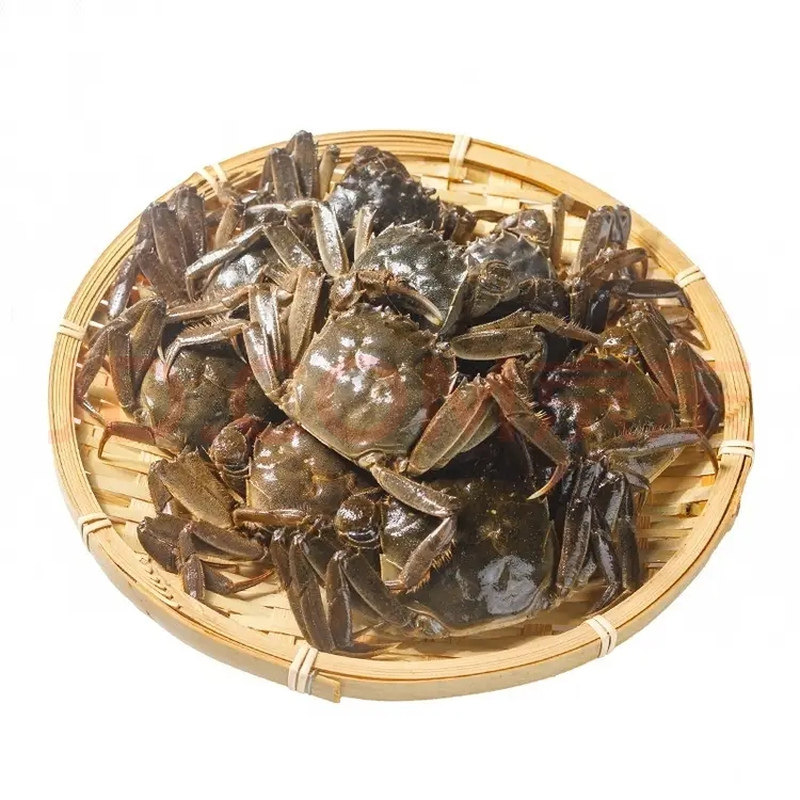 正宗盘锦河蟹鲜活蟹全母蟹现货现发溜达蟹螃蟹大闸蟹团购礼盒装