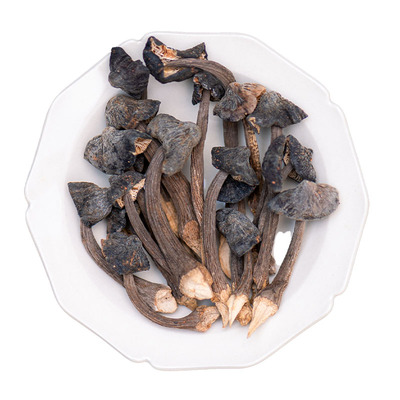 大理山居云南蘑菇黑皮鸡枞菌