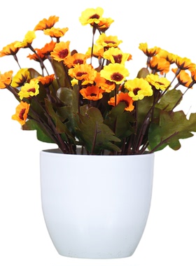 家居桌面摆放花卉仿真花小盆栽