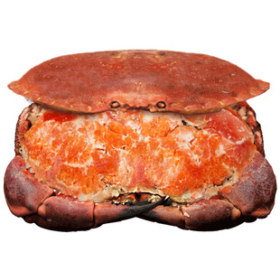 面包蟹鲜活熟冻黄金蟹大螃蟹新鲜超大母蟹满黄海鲜年货礼包礼盒