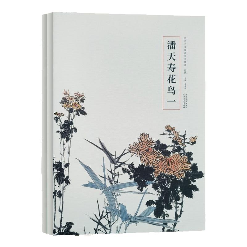 历代名家绘画册页精选 潘天寿大写意花鸟画临摹技法阿寿国画初学者零基础入门教程 大写意花鸟动物山石画临摹范本艺术收藏鉴赏画集