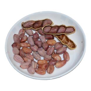 花生炒货坚果红裕丰甜酒花生客家土特产鹤山农家咸干蒜味陈皮花生