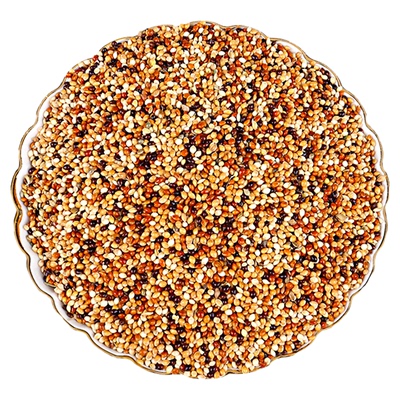 鹦鹉鸟粮谷子虎皮鹦鹉饲料玄凤牡丹专用饲料加纳利子鸟食五色黍子