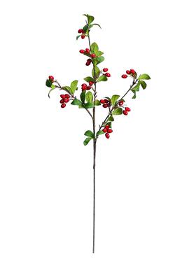茱萸果浆果枝重阳节中式仿真花艺