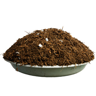 龟背竹专用土营养土腐熟松针养花疏松透气优质家用种植盆栽酸性