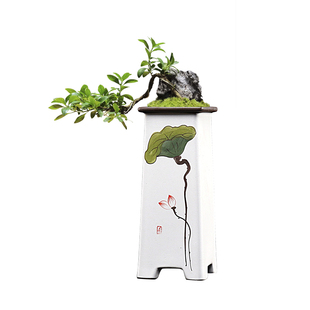 简约手绘紫砂兰花盆哥窑陶瓷四方形文竹盆飘枝老桩悬崖多肉桌面盆