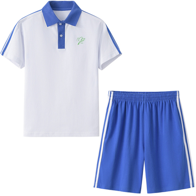深圳小学生校服男女夏衣速干