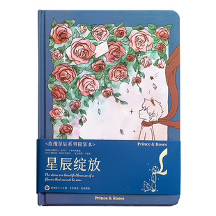 玫瑰星辰系列小王子精装本高颜值全彩页手账本手写文字插画日记本学生用高级感笔记本六一儿童节文艺实用礼物