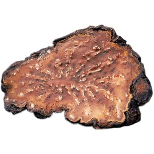 肉苁蓉整根阿拉善内蒙古荒漠苁蓉片可搭锁阳野生淫羊藿泡酒中药材