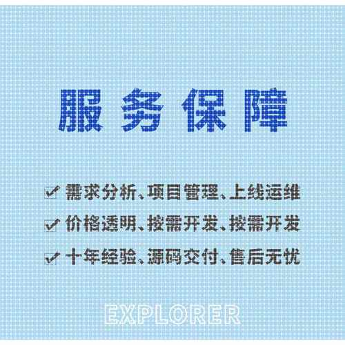 java代码编写python代做计算机软件开发定制微信小程序设计C#项目