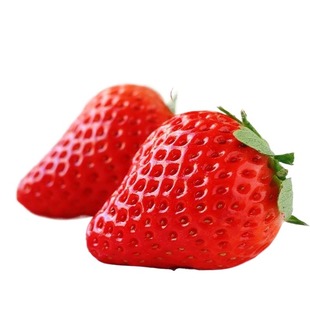 红颜草莓99奶油草莓新鲜当季孕妇水果整箱九九顺丰包邮大草莓回购