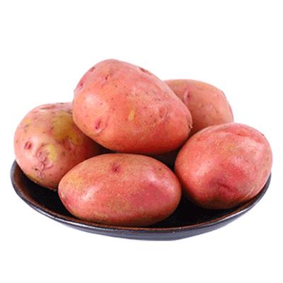 云南小土豆新鲜10斤马铃薯农产品