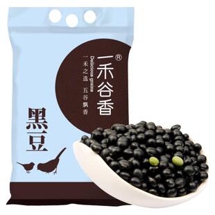 一禾谷香黑豆生豆新货内蒙农家乌皮绿心青仁打豆浆发豆芽泡醋杂粮