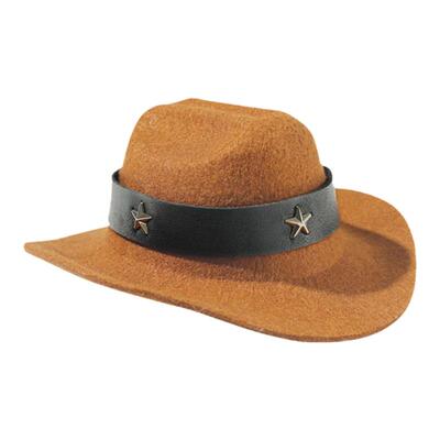 蔚来汽车西部牛仔帽装饰品