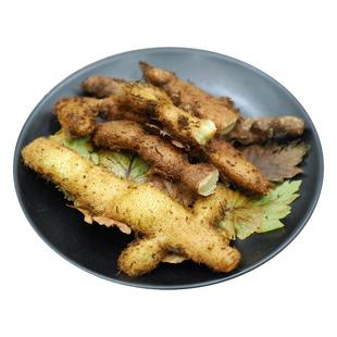 湖南深山新鲜骨碎补毛姜爬岩姜石岩姜接骨姜中药材正宗好货老毛姜