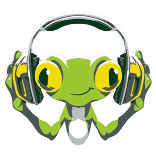 TLP反光车贴 守望先锋喷漆涂鸦周边DJ卢西奥青蛙笔记本贴行李箱贴