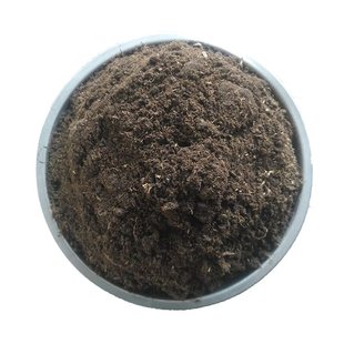 天然河沙细黄沙子多肉配土沙土鱼缸底沙子乌龟冬眠黄沙土水族造景