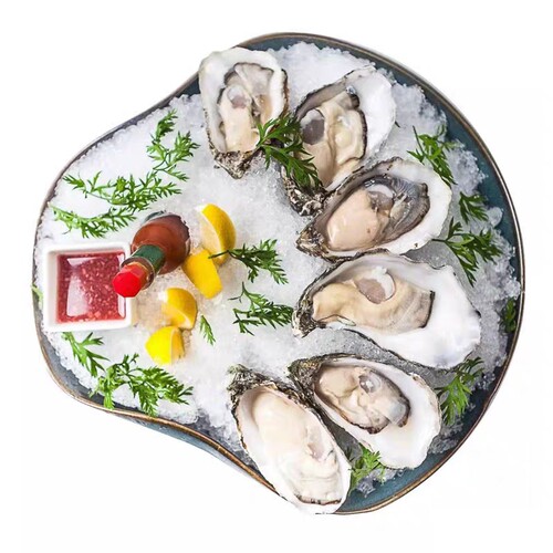 进口法国原装生蚝 吉娜朵官方授权店 N1 12只鲜活 牡蛎