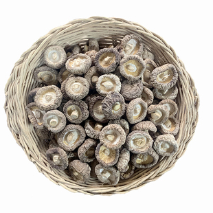 河南汝阳 精选小金菇干货鲜嫩香菇无根肉厚口感嫩滑金钱菇土特产