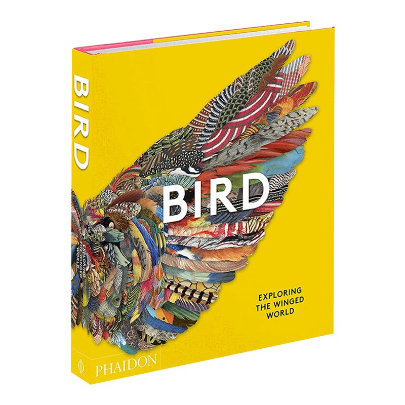 英文原版 Bird Exploring the Winged World 鸟类 探索有翅膀的世界 科学科普图鉴画册 英文版 进口英语原版书籍