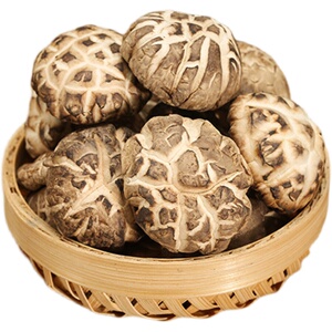 西峡香菇花菇新鲜干货500克 一斤包邮特产自产干花茹 干香菇 蘑菇