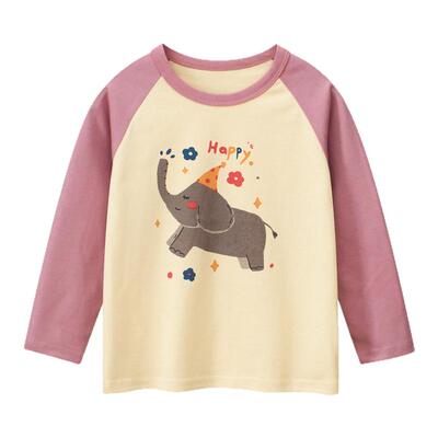 27home纯棉童装新款韩版长袖T恤