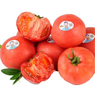 老王家老味道番茄农家自种可生吃沙瓤老品种西红柿新鲜树上自然熟