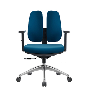 电脑椅家用 舒适久坐办公椅 人体工学双背椅健康椅现代简约学习椅