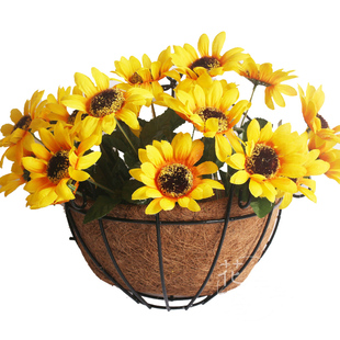 椰棕芯垫 壁挂式花盆 花垂吊盆 半挂壁铁艺花盆 绿萝墙壁铁艺花盆