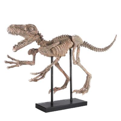 恐龙动物骨骼仿真教学道具摆件