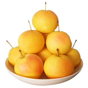 现货发鞍山南果梨5斤海城南国梨东北特产小香水梨子新鲜孕妇水果