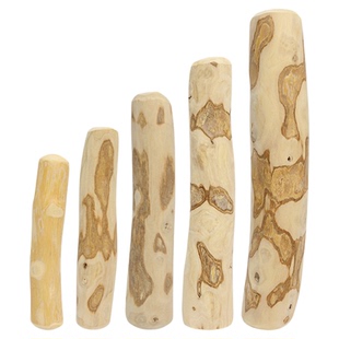 大汪与小喵狗狗磨牙棒咖啡木耐磨耐咬解闷防拆家小中大型幼犬玩具