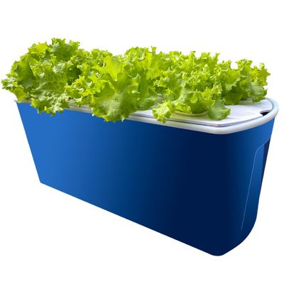 蔬菜瓜果塑料无土栽培种植箱