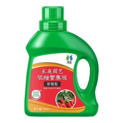 草莓专用肥营养液植物液体肥料肥