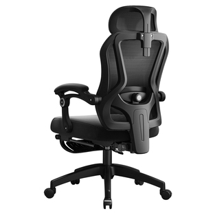 人体工学椅家用办公椅子舒适久坐午休可躺电竞座椅升降护腰电脑椅