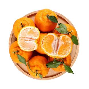 忠橙柑橘春见耙耙柑新鲜应季时令水果柑橘多规格