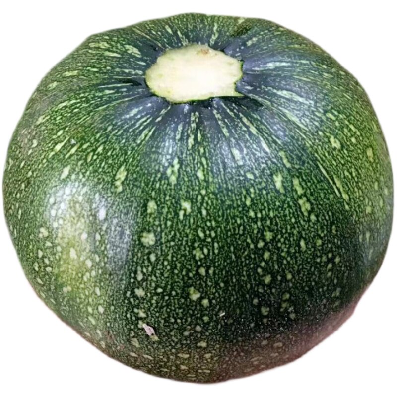 嫩南瓜农家蔬菜自种时令