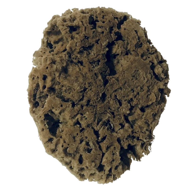 优选天然老海藻绵希腊进口老海绵艺术漆涂刷工具幻彩漆印花海藻棉