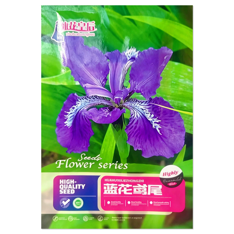 蓝花鸢尾种子花卉种子