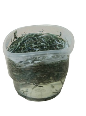 秦岭野生艾叶陈艾草艾叶草干艾草叶泡脚包泡澡祛湿艾蒿艾条艾绒