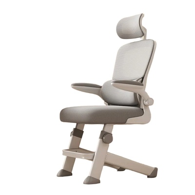 欧意果精准追腰人体工学椅