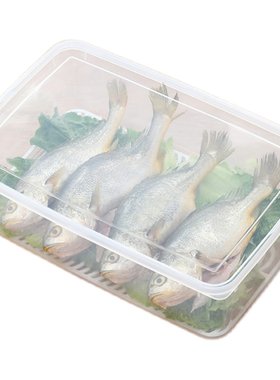 冷冻厨房日本冰箱LISSA