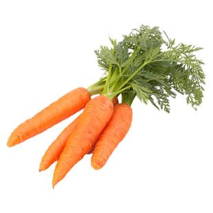 金黄色胡萝卜种子 西亚引进甜脆可口 高产抗病 蔬菜种子 耐热