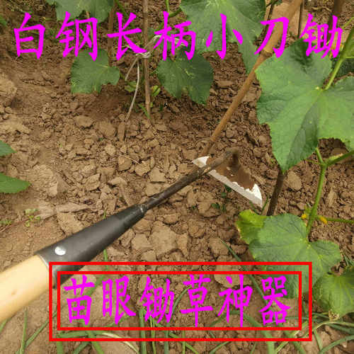 锄头除草专用刀锄小号轻巧加长柄农用小薅锄锄地家用松土工具神器