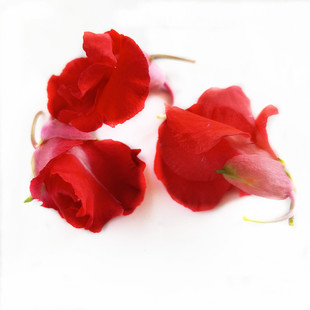 新鲜凤仙花指甲草花苗染指甲红白指甲花瓣种植指甲花种子美甲染发