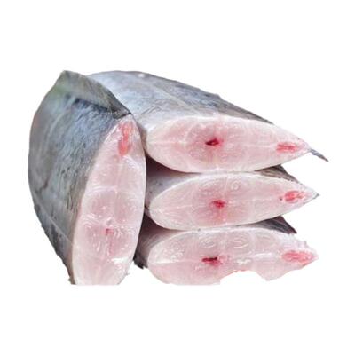 无冰带鱼段新鲜冷冻东海黄海小眼油带鱼刀鱼中段深海大带鱼段