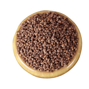 东北特产新鲜紫苏 生苏子食用苏籽 紫苏种子烧烤料 500g装包邮